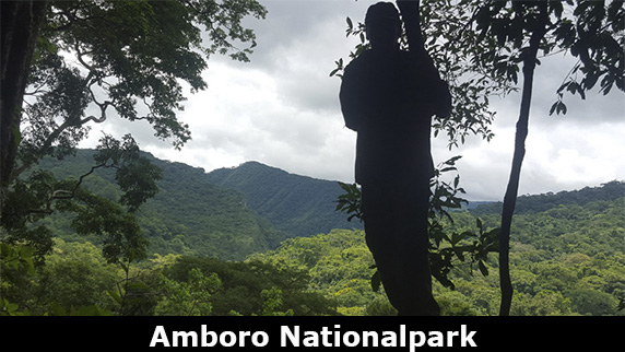 Amboro NationalPark