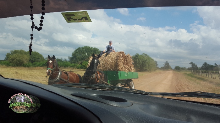 Menonitas trabajando