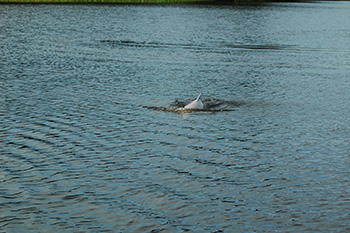 Noel Kempf nationalpark mit seinen Wasserfallen