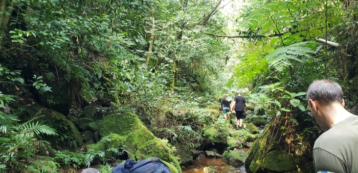 Amboro National park Bolivia jungle Trekking