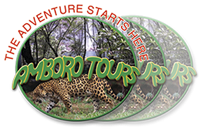 Amboro Tours